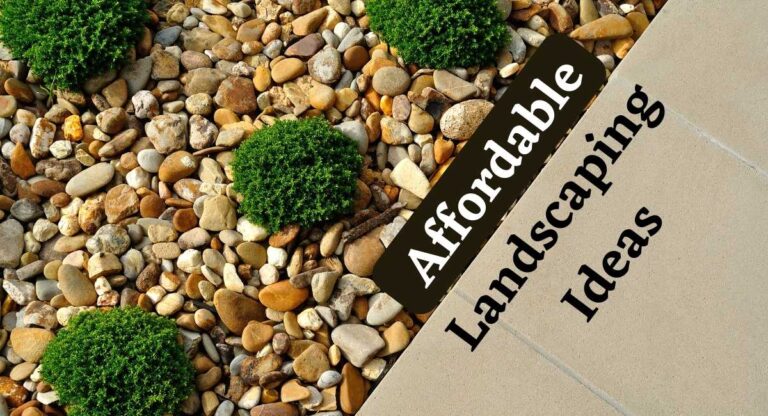 Affordable landscaping ideas
