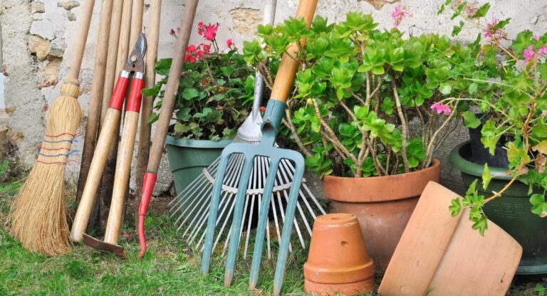 Garden tools for easy maintenance of a low-maintenance small garden design.