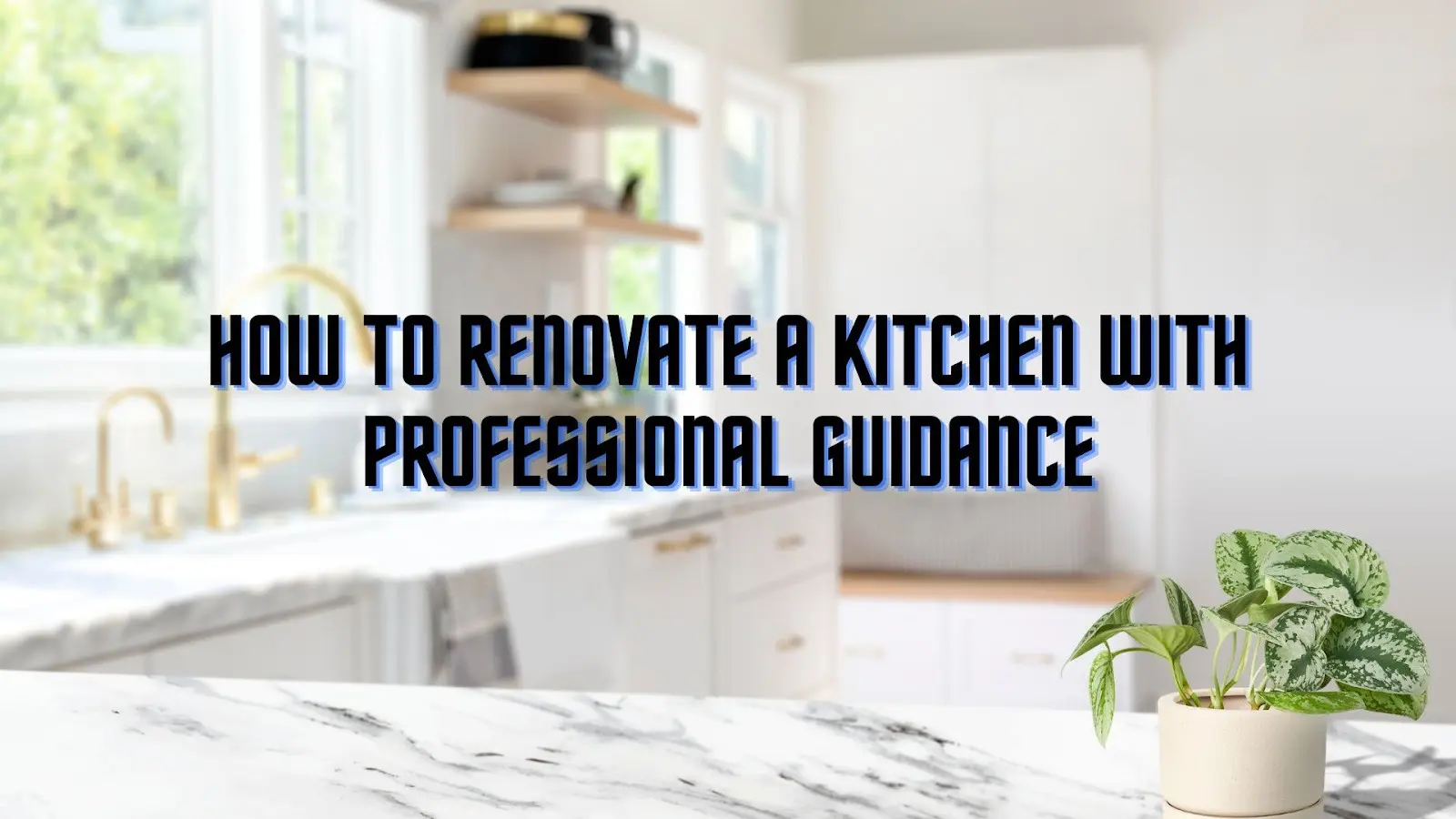 Kitchen Renovation