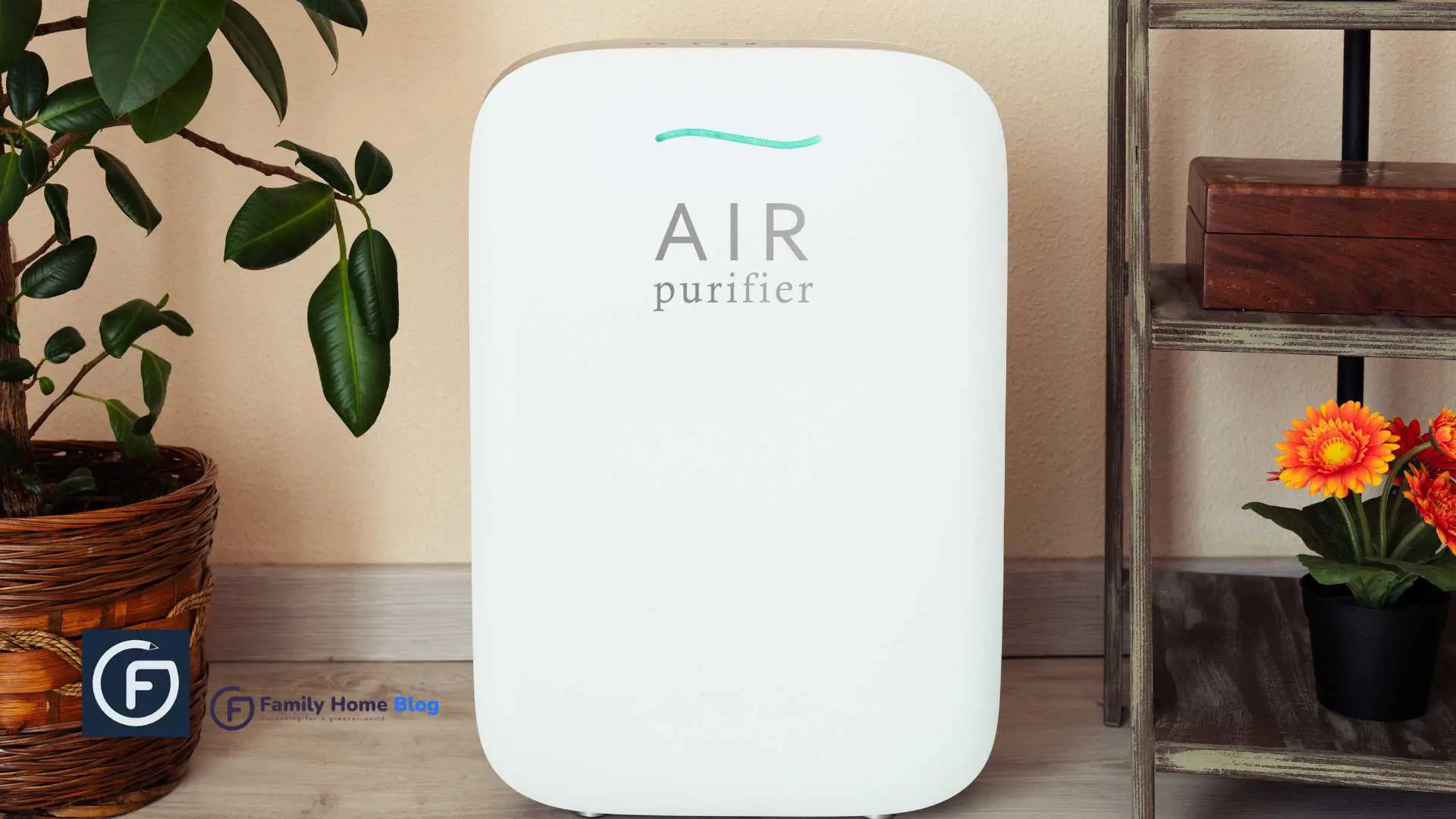 air purifier