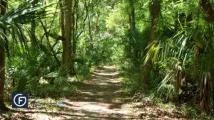 florida landscape ideas