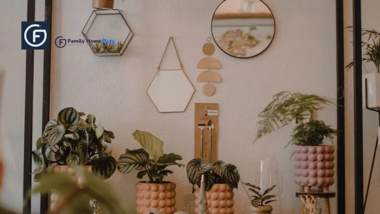 decorative wall mirrors