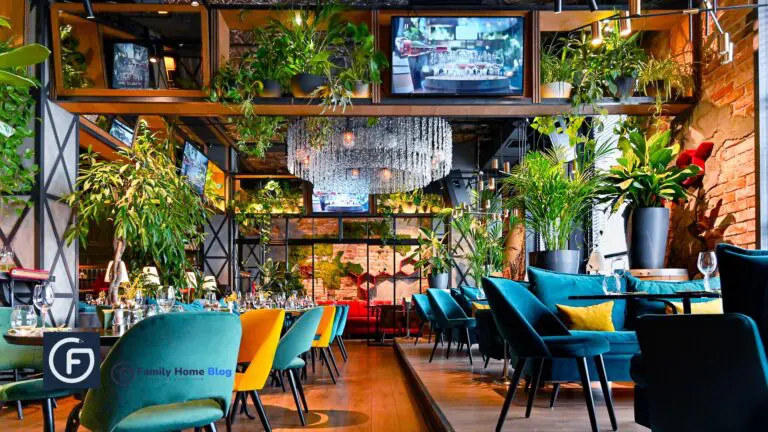 restaurant chairs