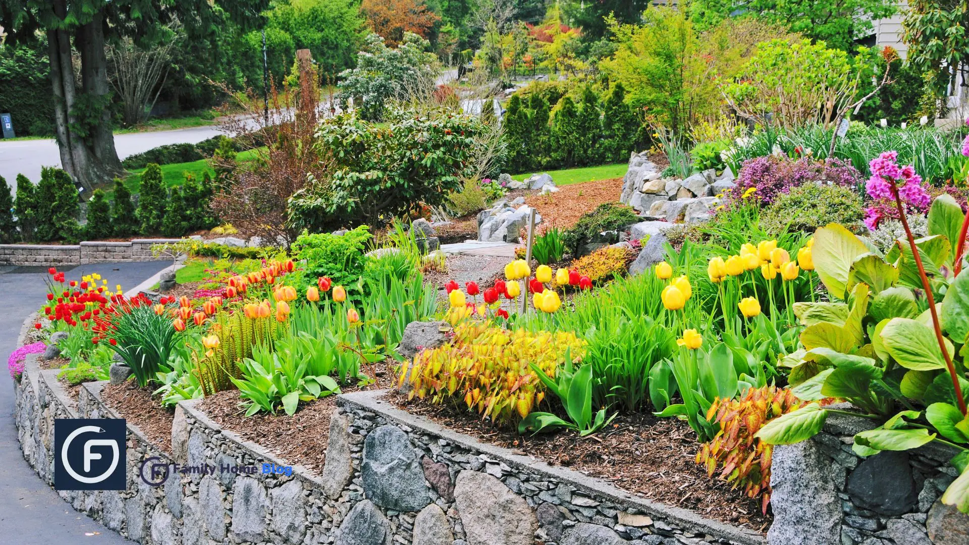 low maintenance hillside landscaping