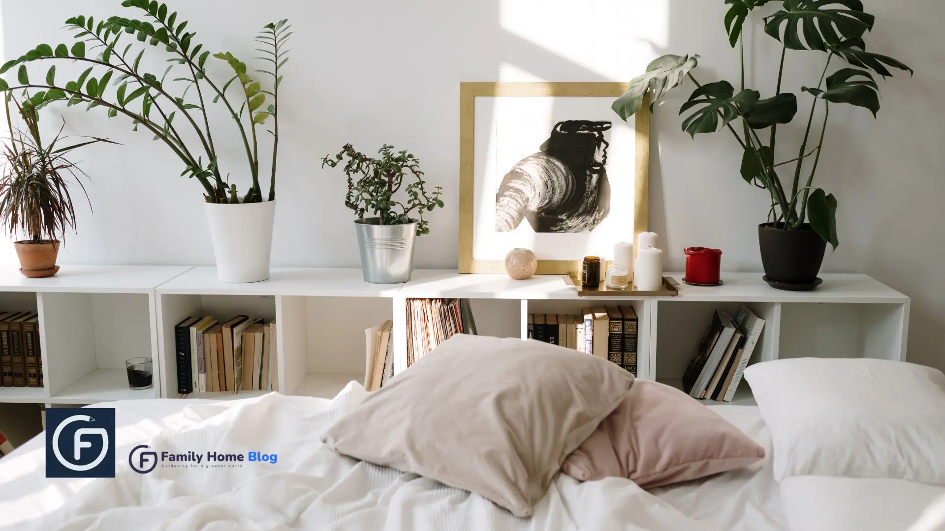 bedroom shelves