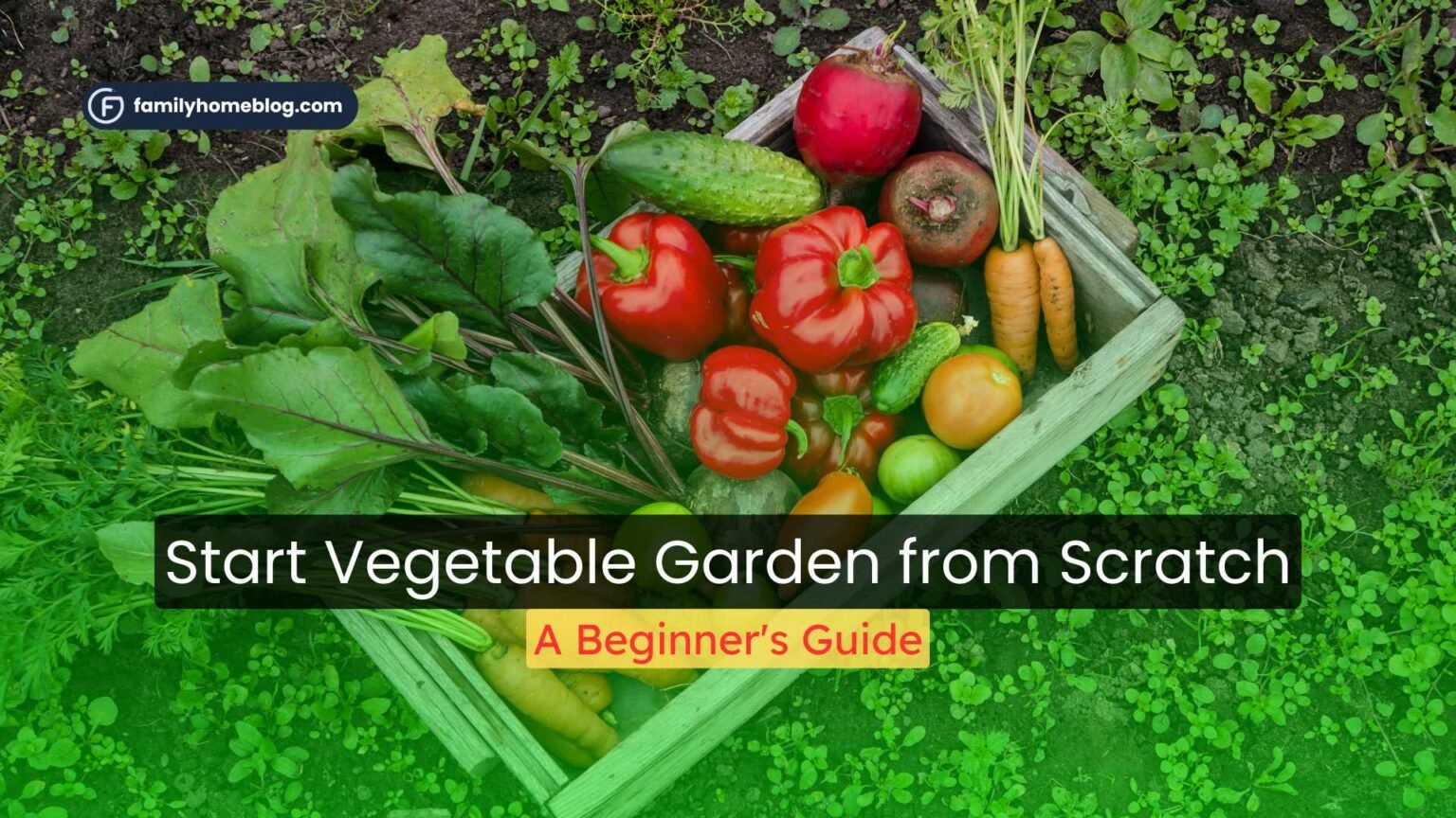 How to Start a Vegetable Garden from Scratch: A Beginner's Guide ...